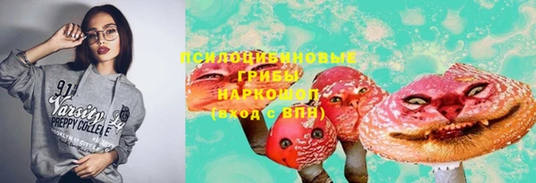 мдпв Дмитриев