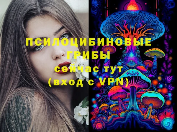 бутират Елизово