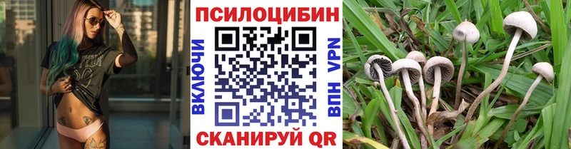 Галлюциногенные грибы мицелий  Кувшиново 